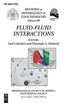 portada Fluid-Fluid Interactions (Reviews in Mineralogy and Geochemistry) (Reviews in Mineralogy & Geochemistry) (en Inglés)
