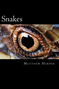 portada Snakes: A Fascinating Book Containing Snake Facts, Trivia, Images & Memory Recall Quiz: Suitable for Adults & Children (in English)
