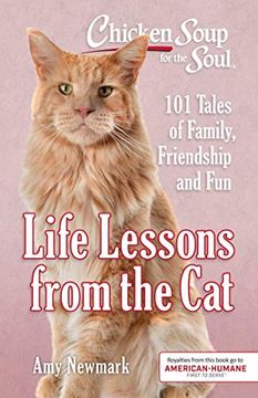 portada Chicken Soup for the Soul: Life Lessons From the Cat: 101 Tales of Family, Friendship and fun (en Inglés)