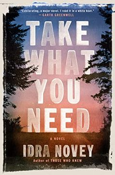 portada Take What you Need: A Novel (en Inglés)