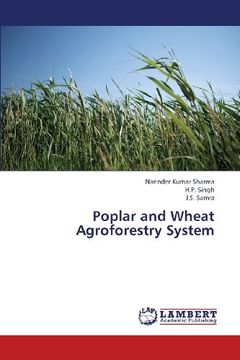 portada Poplar and Wheat Agroforestry System