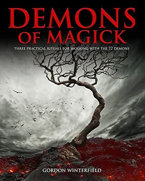 portada Demons of Magick: Three Practical Rituals for Working With the 72 Demons (The Gallery of Magick) 