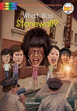 portada What was Stonewall? (in English)