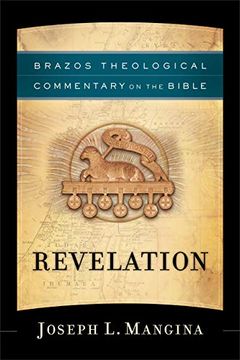 portada Revelation (Brazos Theological Commentary on the Bible) (en Inglés)