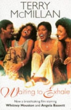 portada Waiting to Exhale (in English)