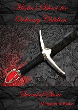 portada Merlin's School for Ordinary Children: Sword of Stone (in English)