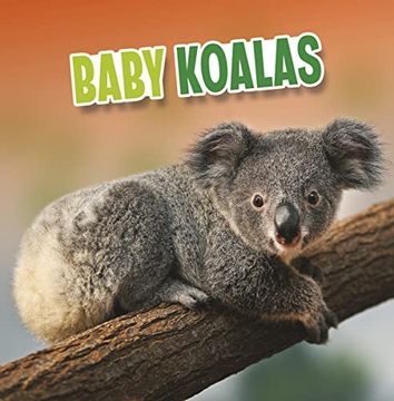 portada Baby Koalas (Baby Animals)