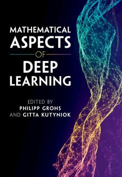 portada Mathematical Aspects of Deep Learning (en Inglés)
