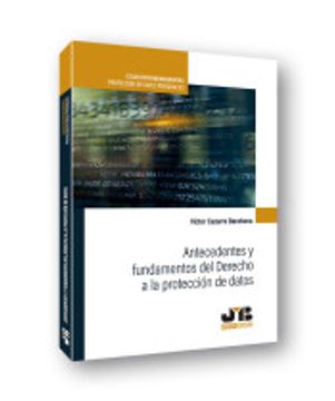 portada Antecedentes y Fundamentos del Derecho a la Proteccion de Datos (in Spanish)