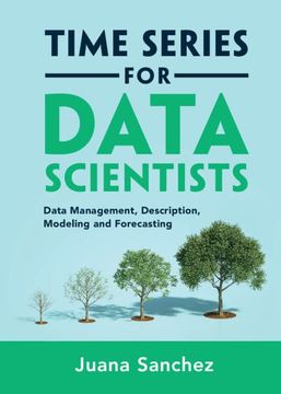 portada Time Series for Data Scientists: Data Management, Description, Modeling and Forecasting
