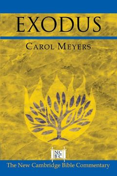 portada Exodus (New Cambridge Bible Commentary) (en Inglés)