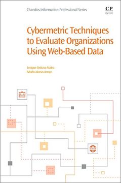 portada Cybermetric Techniques to Evaluate Organizations Using Web-Based Data (en Inglés)
