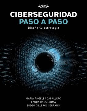 portada Ciberseguridad Paso a Paso (in Spanish)