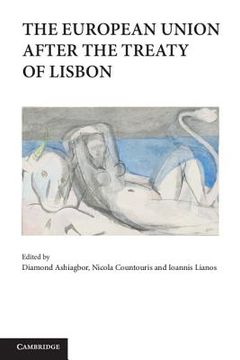 portada the european union after the treaty of lisbon