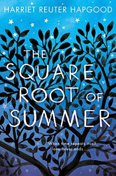 portada The Square Root of Summer (en Inglés)