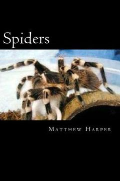 portada Spiders: A Fascinating Book Containing Spider Facts, Trivia, Images & Memory Recall Quiz: Suitable for Adults & Children (en Inglés)