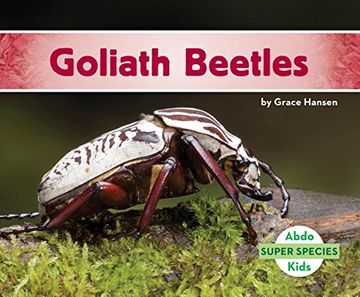 portada Goliath Beetles (Super Species)