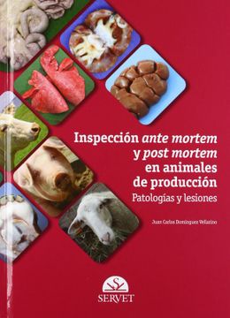 portada Inspección Ante Mortem y Post Mortem en Animales de Producción: Patologías y Lesiones (in Spanish)