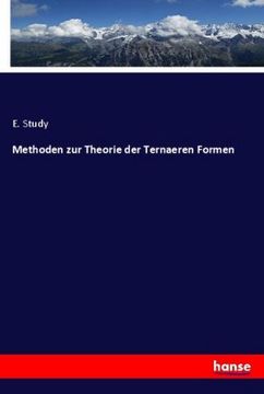 portada Methoden zur Theorie der Ternaeren Formen (in German)