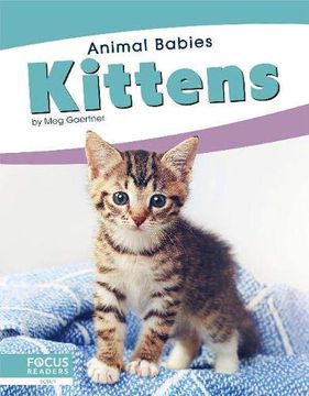 portada Kittens (Animal Babies) 