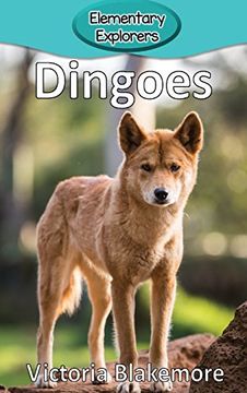 portada Dingoes (Elementary Explorers) (en Inglés)