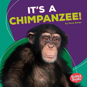 portada It's a Chimpanzee! (Bumba Books: Rain Forest Animals)