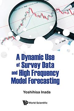 portada A Dynamic use of Survey Data and High Frequency Model Forecasting (en Inglés)