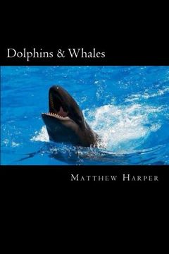 portada Dolphins & Whales: A Fascinating Book Containing Dolphin & Whale Facts, Trivia, Images & Memory Recall Quiz: Suitable for Adults & Children (Matthew Harper)