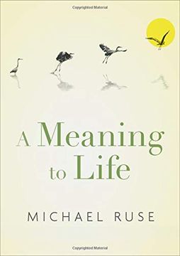 portada A Meaning to Life (Philosophy in Action) (in English)