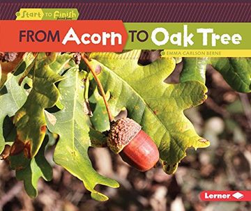portada From Acorn to Oak Tree (Start to Finish)