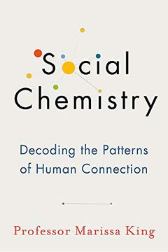 portada Social Chemistry: Decoding the Patterns of Human Connection (en Inglés)