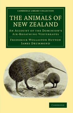 portada The Animals of new Zealand: An Account of the Dominion's Air-Breathing Vertebrates (Cambridge Library Collection - Zoology) 