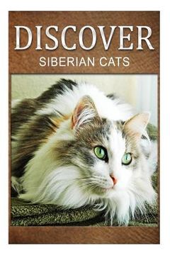 portada Siberian Cats - Discover: Early reader's wildlife photography book (en Inglés)
