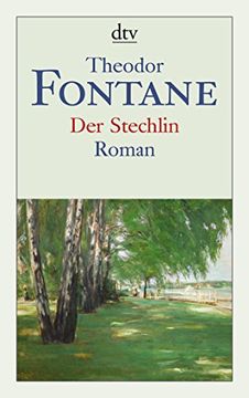 portada Der Stechlin: Roman (in German)