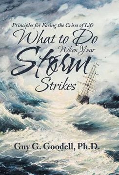 portada What to Do When Your Storm Strikes: Principles for Facing the Crises of Life (en Inglés)