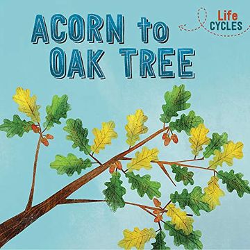 portada Acorn to oak Tree (Life Cycles) (en Inglés)