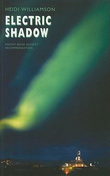 portada electric shadow (in English)