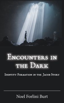 portada Encounters in the Dark: Identity Formation in the Jacob Story (in English)