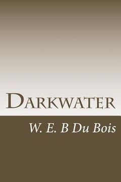 portada Darkwater: Voices From Within The Veil