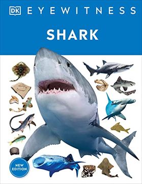 portada Shark: Dive Into the Fascinating World of Sharks (dk Eyewitness) (in English)