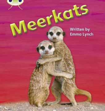 portada phonics bug meerkats phase 5 (en Inglés)