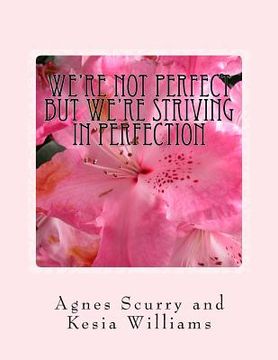 portada We?re not perfect but we?re striving in perfection: In the eyes of the beholder (en Inglés)