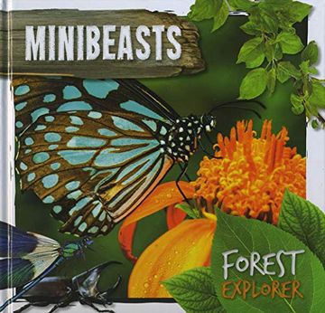 portada Minibeasts (Forest Explorer) (en Inglés)