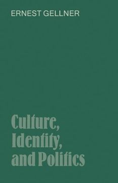portada Culture, Identity, and Politics (in English)