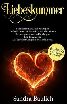 portada Liebeskummer: Die Flammen im Herz bekämpfen - Loslassen lernen & Liebeskummer überwinden - Trennungsschmerz und Neubeginn - Den Ex v (in German)