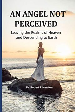 portada An Angel not Perceived: Leaving the Realms of Heaven and Descending to Earth 