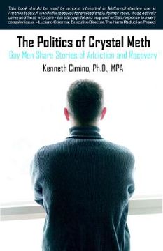 portada the politics of crystal meth: gay men share stories of addiction and recovery (en Inglés)