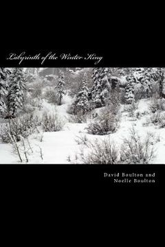 portada Labyrinth of the Winter King: An Epic Saga (en Inglés)