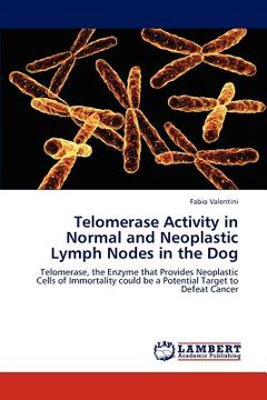 portada telomerase activity in normal and neoplastic lymph nodes in the dog