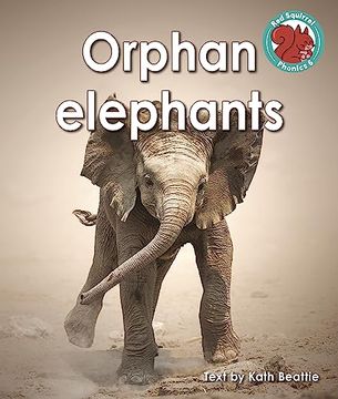 portada Orphan Elephants (en Inglés)